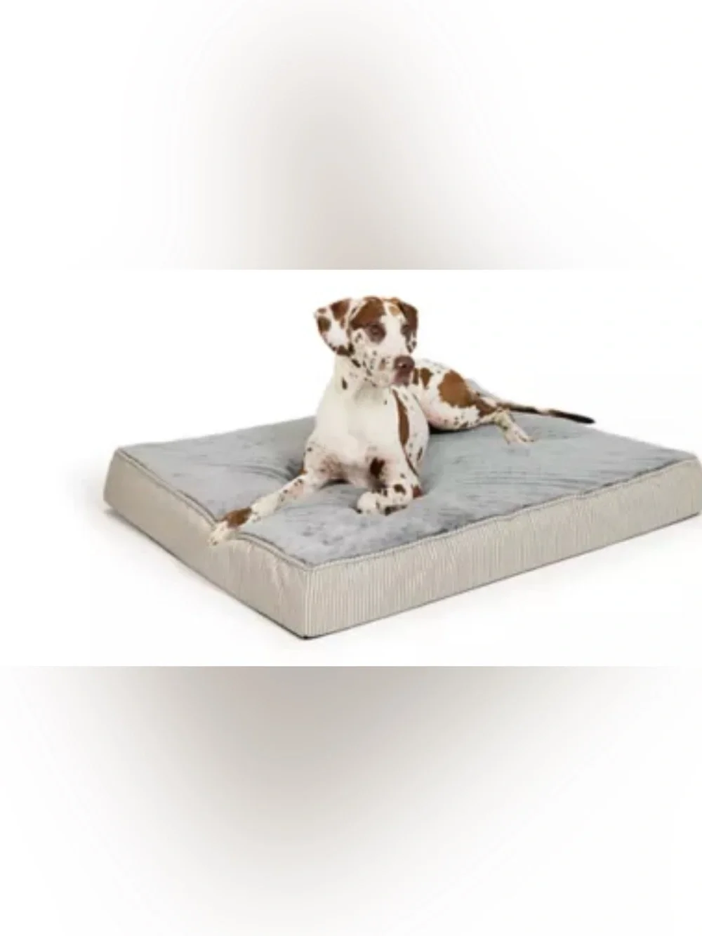 Top Paw® Orthopedic Mattress Dog Bed, Brown/Grey/Tan, size 48Lx38